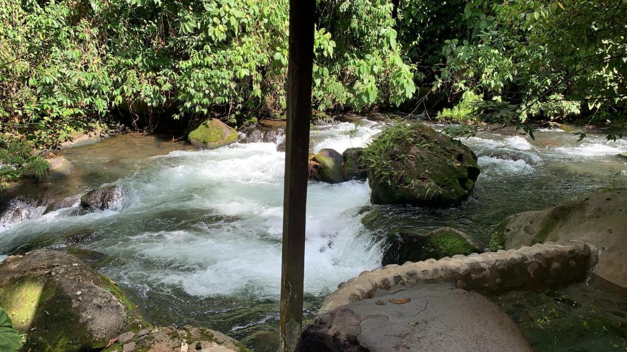 Casa Vitality Bed And Breakfast - Playa Guiones, Nosara - 4 Minute Walk To The Beach Exterior photo